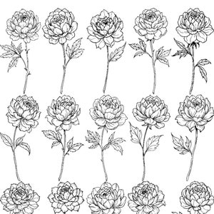Garden Grace Peony 15 Flowers Line Art Ink - Floral clipart png svg - Peonies flowers Set - Flowers wedding invite card - Digital Bundle PNG