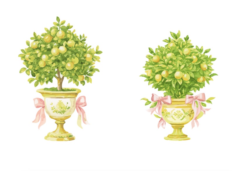Topiary Watercolor SVG 4 Cliparts - Wedding Bow Topiary Clipart PNG ...