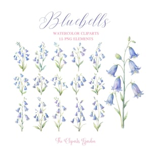 Bluebells Watercolor PNG 15 Floral Cliparts - Wedding Template Frame Border Blue Flowers clipart PNG - Field Wildflowers Wreath Bouquet