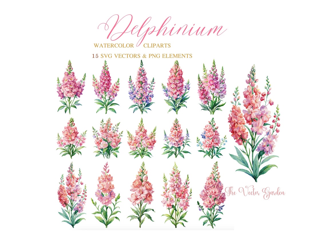 Pink Delphinium Flower Watercolor SVG 15 Floral Clipart - Wedding ...