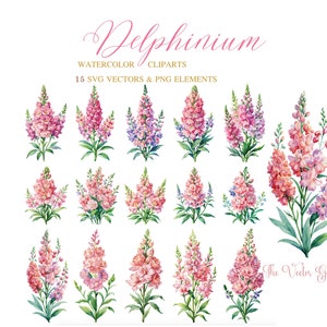 Pink Delphinium Flower Watercolor SVG 15 Floral Clipart - Wedding Flowers clipart png - Rose Delphinium  wildflowers Aquarelle Vector Bundle