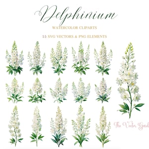 Delphinium Flower Watercolor SVG 15 Floral Clipart - Wedding Flowers clipart png - White Delphinium  wildflowers Aquarelle Vector Bundle