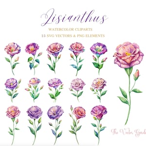 Lisianthus Flower Watercolor SVG 15 Floral Clipart - Wedding Flowers clipart png - Purple Pink Lisianthus flowers Aquarelle Vector Bundle