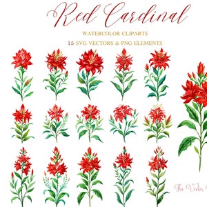 Rode kardinaal bloem aquarel SVG set van 15 bloemen clipart - bruiloft bloemen clipart png - rode kardinaal bloemen Aquarelle Vector SVG bundel