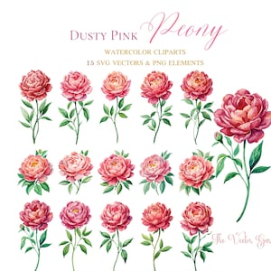 PRECIOUS PEONIES Watercolor svg set of 15 Floral Cliparts - Wedding Flowers clipart png - Peony flowers Set Aquarelle Vector SVG Bundle