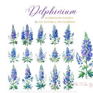 Delphinium Flower Watercolor SVG 15 Floral Clipart - Wedding Flowers clipart png - Blue Delphinium  wildflowers Aquarelle Vector Bundle