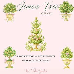 Topiary Watercolor SVG 5 Cliparts - Wedding Bow Topiary Clipart PNG ...