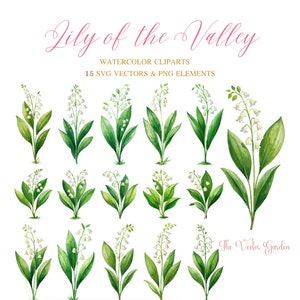 Watercolor Lilies Of the Valley Flowers - 15 Floral clipart png svg - Lily Of The Valley flowers - Flowers wedding invite card - Digital PNG