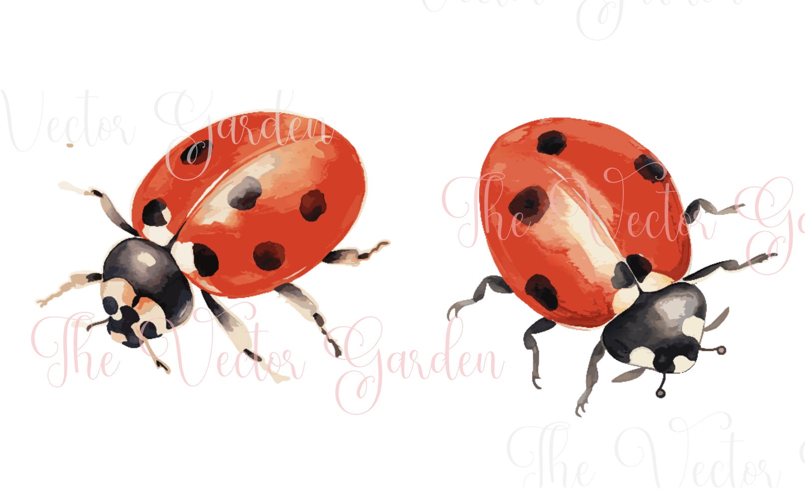 Ladybug Watercolor SVG 5 Insects Clipart - Garden Lady Bugs Cliparts ...