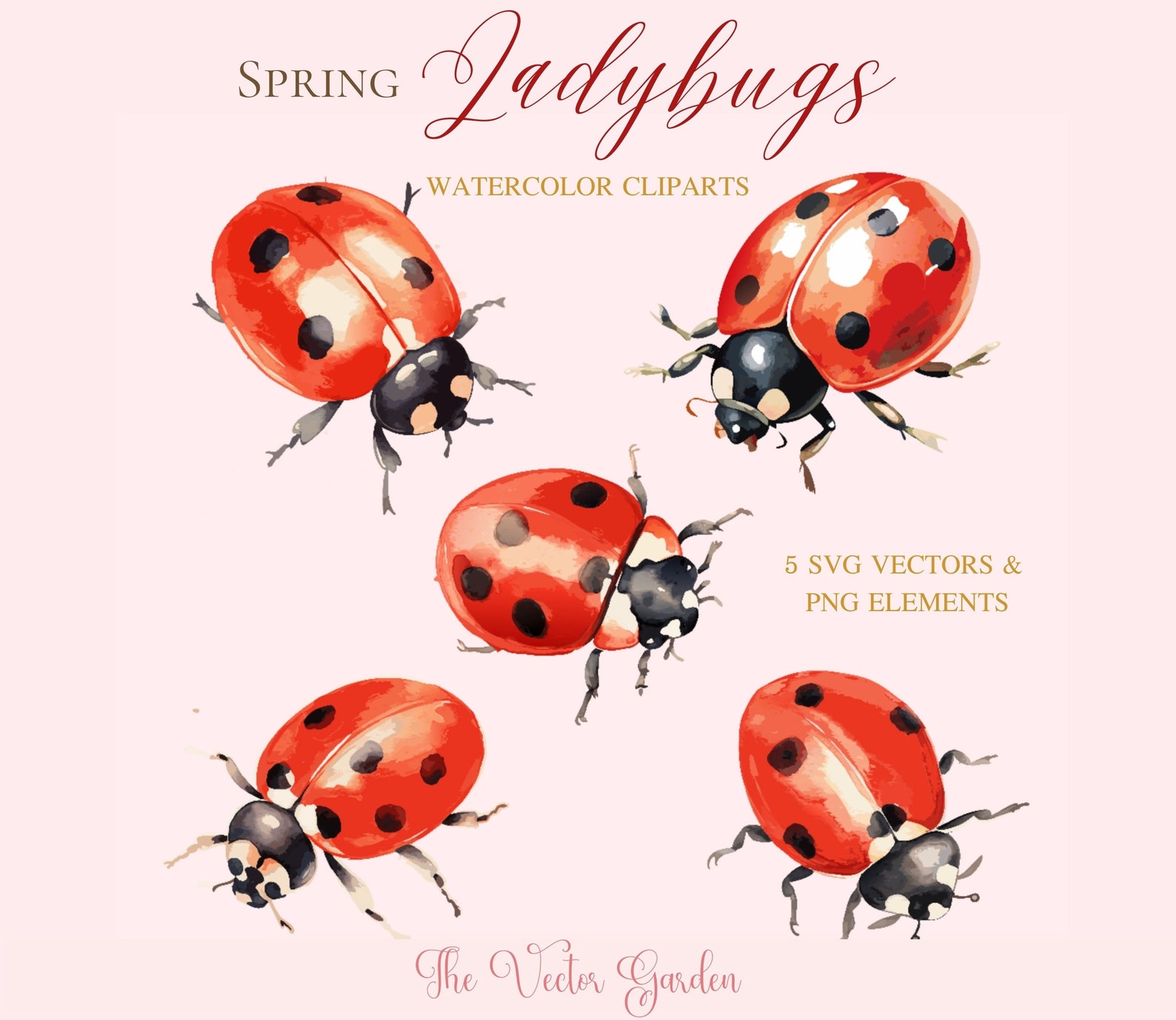 Ladybug Watercolor SVG 5 Insects Clipart - Garden Lady Bugs Cliparts ...