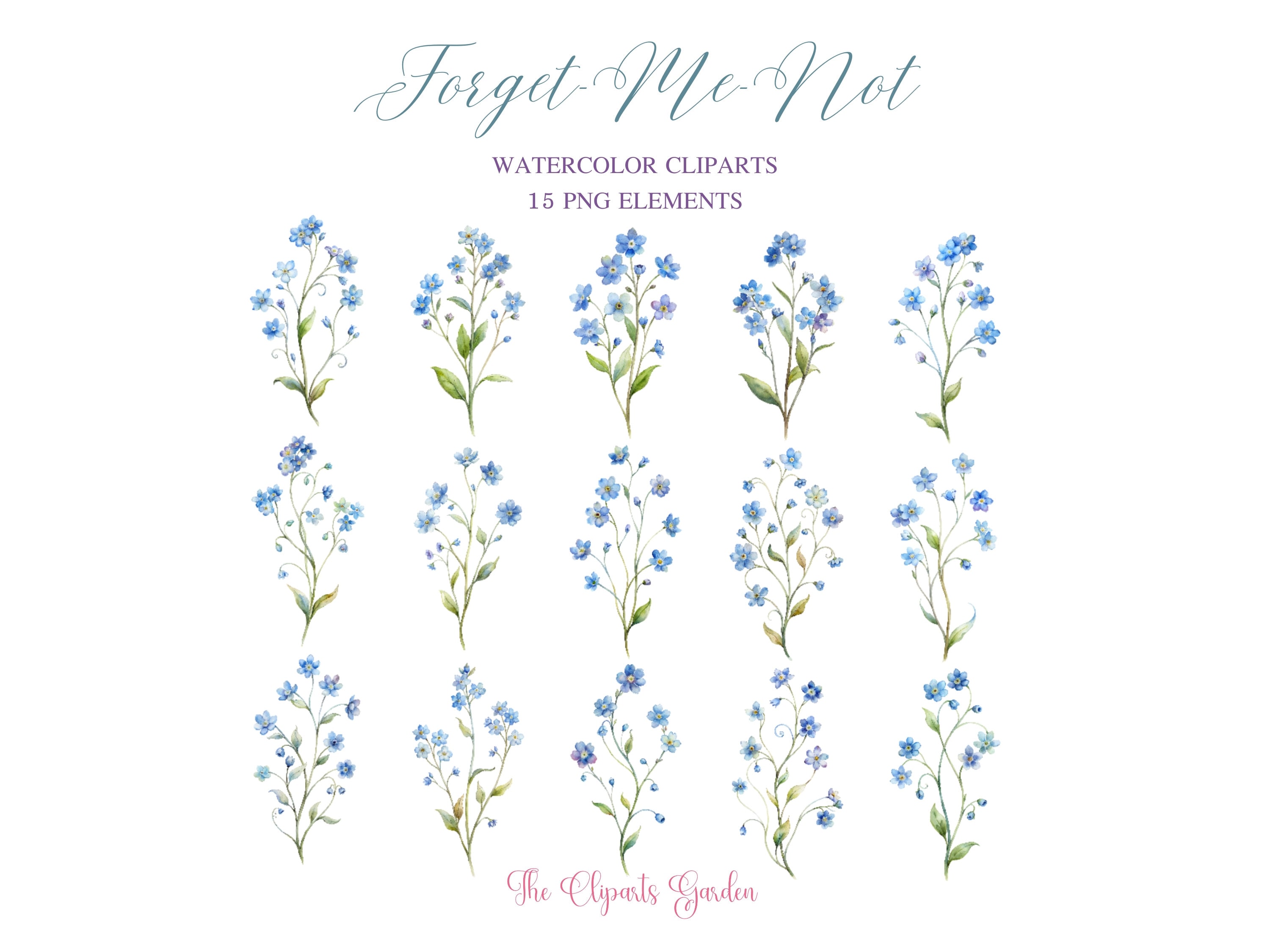 Forget-Me-Not Watercolor PNG Bundle – 15 Floral Clipart Elements for Wedding Invitations, Frames, Wreaths & Bouquets