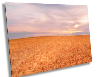 Wheat Field Sunrise / Fine Art Print / Canvas / Acrylic / Metal / Photography