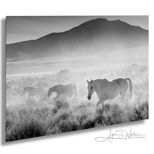 Wild Horses Picture in Black and White Utah / Onaqui Wild Mustangs / Fine Art Print / Canvas Print / Original Photography