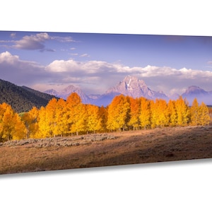 Espen in Herbstfarben im Grand Teton National Park / Jackson Hole WY / Fotografische Druck Wanddekoration / Leinwand Acryl Metall Wand Kunst