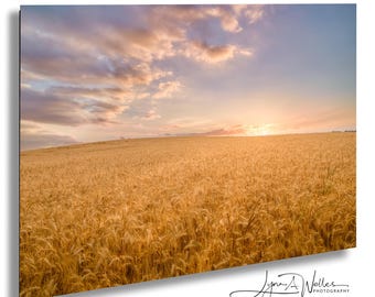 Wheat Field Sunrise Canvas Art: Farmhouse Decor Photography