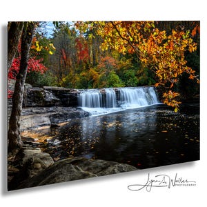 Cascada Hooker Falls en el Bosque Estatal Dupont, Carolina del Norte: Fotografía artística sobre lienzo.