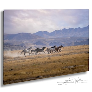 Wild Horses Running Photo Print on Canvas, Acrylic / Onaqui Wild Mustangs / Fine Art Print / Metal / Photography