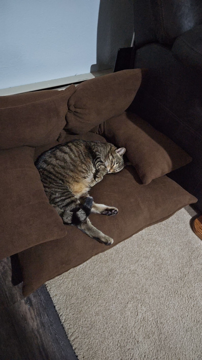 May include: A tabby cat sleeping on a brown couch with multiple cushions. The couch is on a light brown rug.