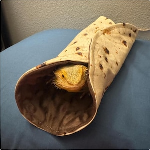 May include: A tan and brown pet bed shaped like a tortilla, with a bearded dragon lizard peeking out. The lizard is yellow and has a spiky beard. The bed is on a blue surface.