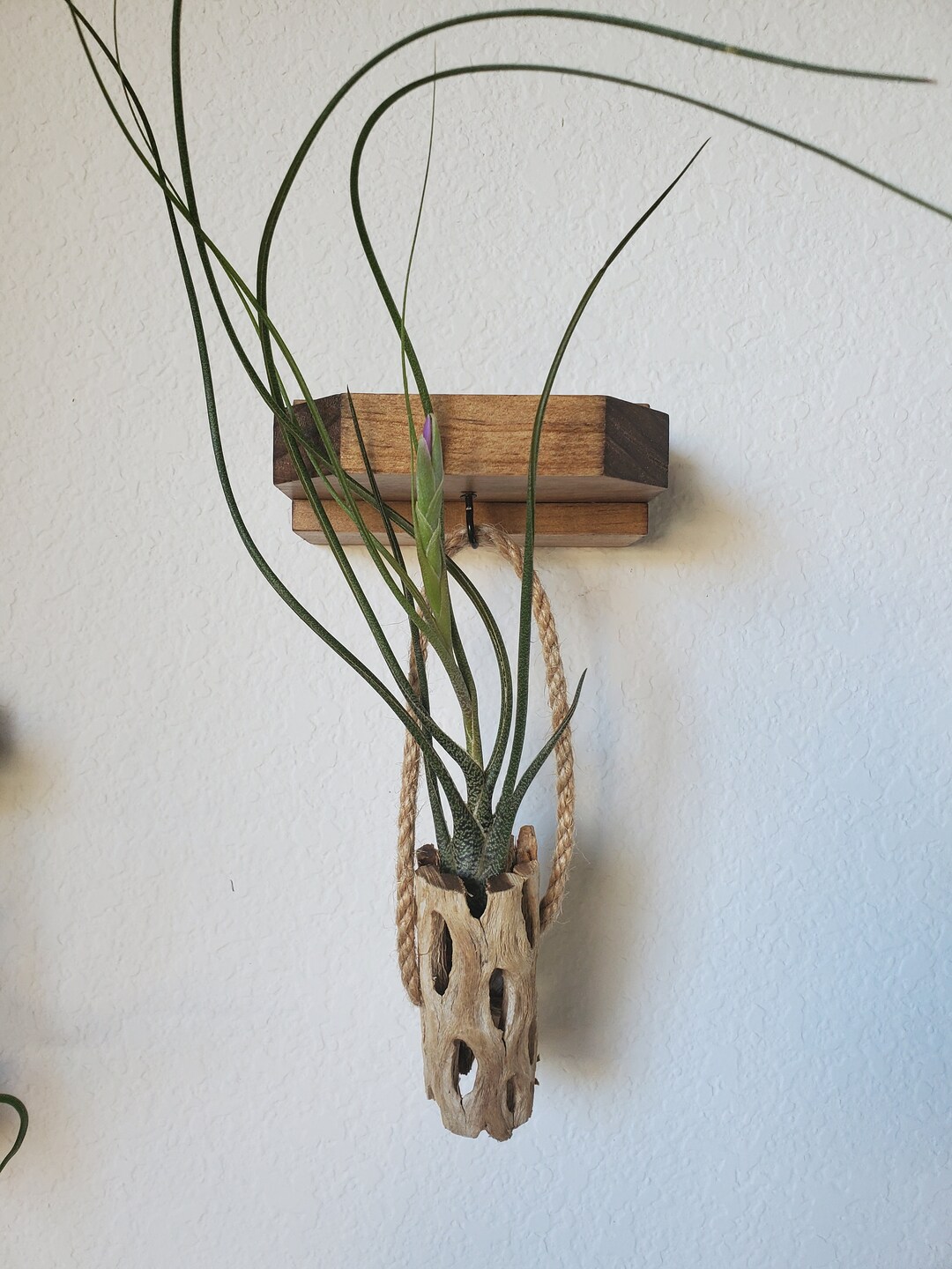 Handmade Wooden Air Plant Wall Decor Etsy
