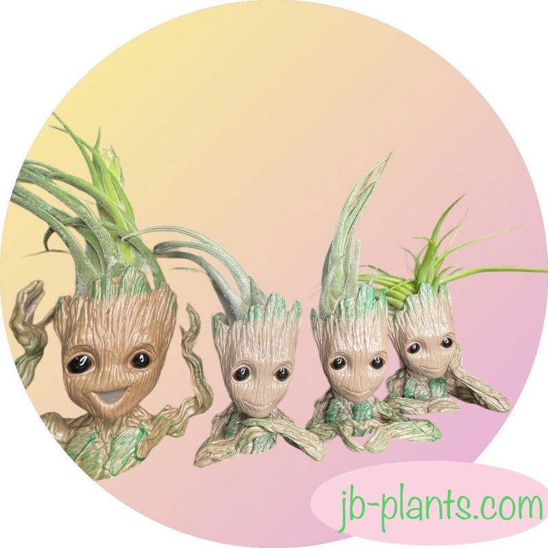 Groot Plant Holder - Etsy