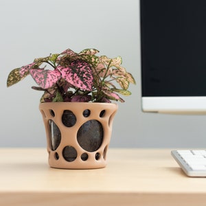 May include: A pink and green houseplant with speckled leaves in a light brown ceramic pot with a unique circular design. The plant is sitting on a light brown wooden desk in front of a computer monitor.