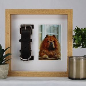 Dog Cat Collar Solid Wood Shadow Box Memorial Keepsake