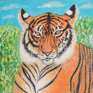 Beau tigre du Bengale