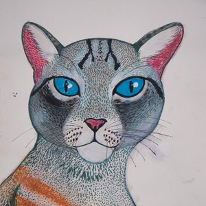 Chat gris aux yeux bleus