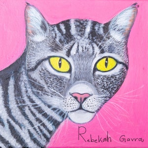 Beau chat aux yeux jaunes sur fond rose