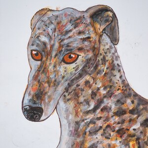 Lurcher Hund mit sanften braunen Augen