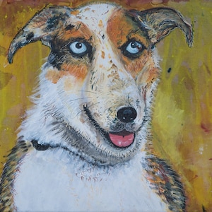 Tarjeta de felicitación de border collie de ojos azules