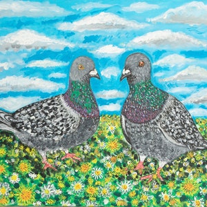Palomas en verano entre las flores silvestres.