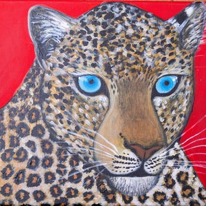 Un léopard aux yeux bleus vibrant et époustouflant sur fond rouge