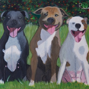 Sœurs chien staffy