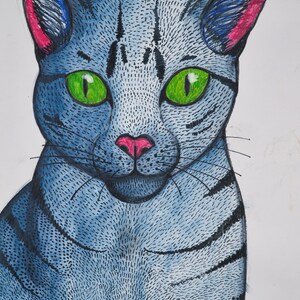 Gatto blu con occhi verdi