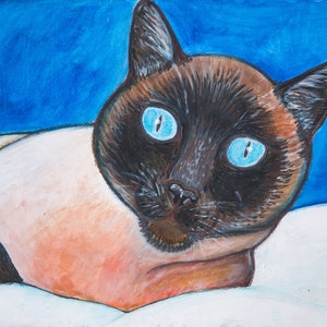 Chat siamois aux yeux bleus frappant