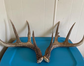 Grand cabanon 4x4 en bois