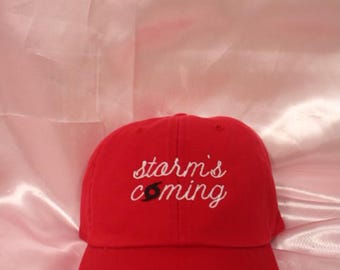 storm's coming, cute Carolina Hurricanes hat