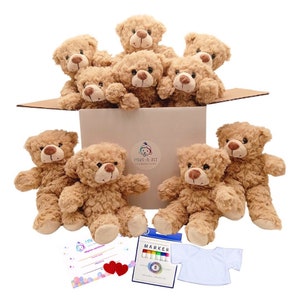 10 Pack Make Your Own Fuzzy Teddy Bear Party Kit White T-shirts 10 Bear Plushie Stuff Your Own Bear Make a Bear Kids Birthday Party Favor image 2