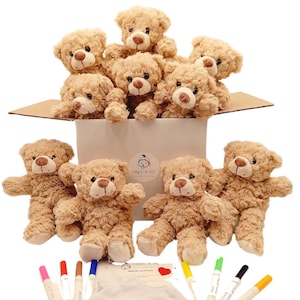 10 Pack Make Your Own Fuzzy Teddy Bear Party Kit White T-shirts 10 Bear Plushie Stuff Your Own Bear Make a Bear Kids Birthday Party Favor image 3