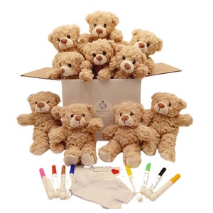 10 Pack Make Your Own Fuzzy Teddy Bear Party Kit White T-shirts 10 Bear Plushie Stuff Your Own Bear Make a Bear Kids Birthday Party Favor image 1