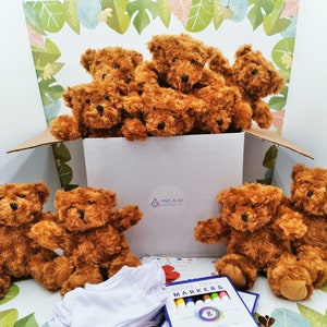 10 Pack Make Your Own Chocolate Teddy Bear Party Kit  White T-shirts 10" Bear Plushie Stuff Your Own Bear Make a Bear Birthday Party Favor