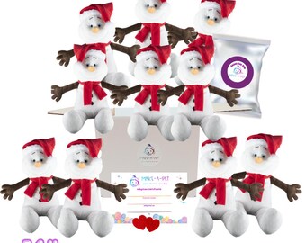 10 Pack Make Your Own 16" Snowman Party Favor kit with Scarf, Christmas