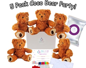 5 Pack Make Your Own Coco Teddy Bear Stuffing Kit, Kids Party Favor