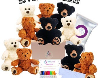 Make Your Own Teddy Bear Bash Party Kit: 10 pack, Optional Shirts, Make a Pet