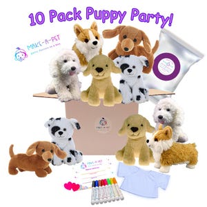 May include: A 10 pack puppy party kit with 10 plush puppy toys, a white t-shirt, markers, and a bag of stuffing. The kit is in a brown cardboard box with the words "MAKE-A-PET" on the side.