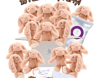 DIY(15 pack) Make Your Own Brown Bunny Party Favor, Stuffed Animal Kit
