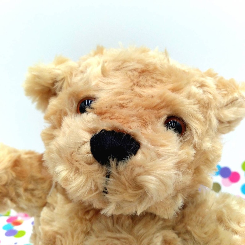 15 Pack Make Your Own Teddy Bear Party Kit With White T shirts 10 Bear 15-pack-make-your-own-teddy-bear-party-kit-with-white-t-shirts-10-bear