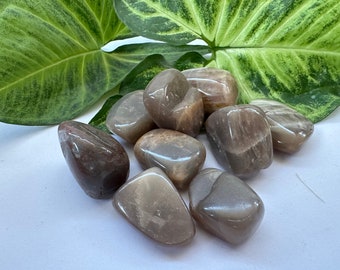 May include: A collection of eight sunstone tumbled stones in shades of gray and brown. The stones are smooth and polished, with a subtle shimmer.